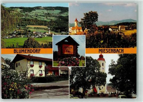 Birkfeld Blumendorf Miesenbach