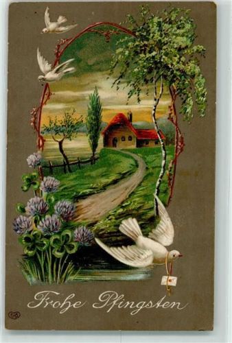 1911 Prägedruck Brieftaube Kleeblätter Blumen Brief EAS Passepartout