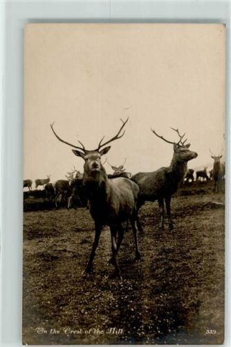 1916 On the Crest of the Hill - Hirsche - Davodson Real Photographic Series AK