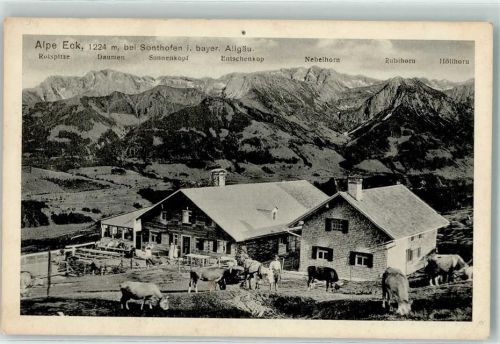 87527 W8972 Sonthofen , Oberallgäu - Alpe Eck Rinderherde Allgäuer Alpen Hüttenstempel