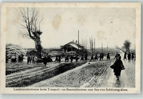 Landsturmkolonne beim Transport von Baumstämmen zum Bau von Schützengräben Feldpost WK I 4. Kompagnie Infant.-Regts, 13