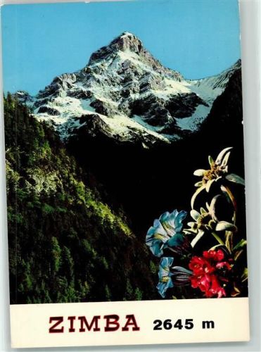 Schruns Zimba 2645 m Blumen Vorarlberg