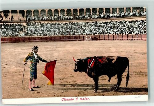 Citando a matar Torero Stierkampf