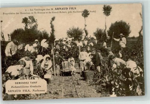 Narbonne 1915 Les Vendanges Arnaud Fils Weinlese