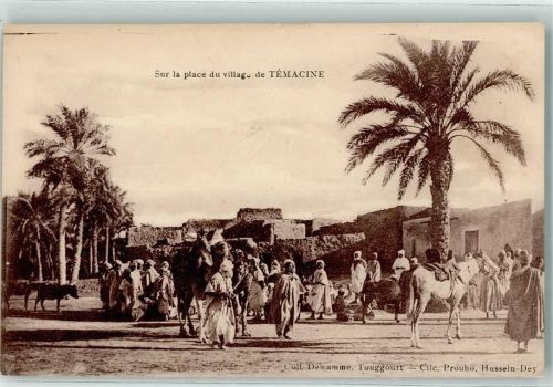Touggourt Snr la place du village de Temacine