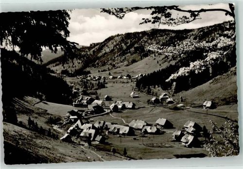 Menzenschwand