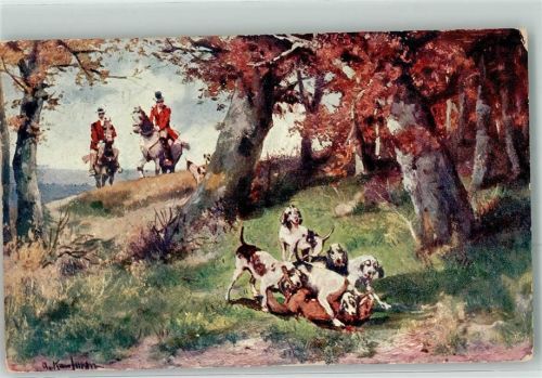 Pointer Fuchs Jäger B.K.W.I. Nr.764-2