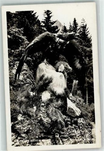 Adler Perutz Braunsiegel Platte Zeiss Objekt