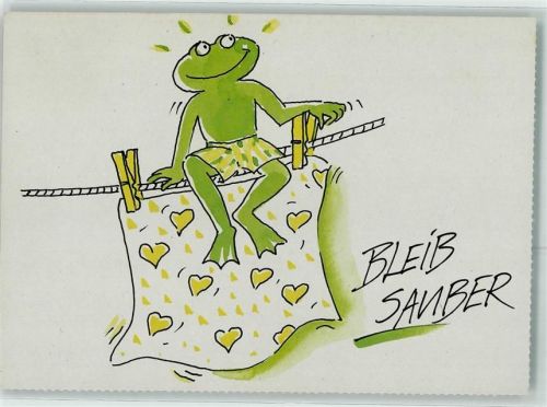 Frosch Reinigungsmittel