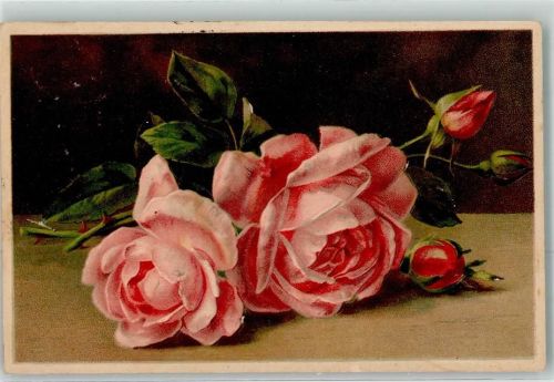 1907 Stilleben KF Nr.1871