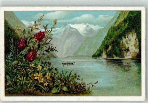Distel Blumen und Landschaften Serie 13 Nr.6 Ruderboot