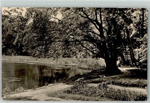 Golßen Küchenteich