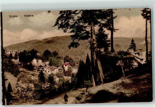 Sinaia Vedere