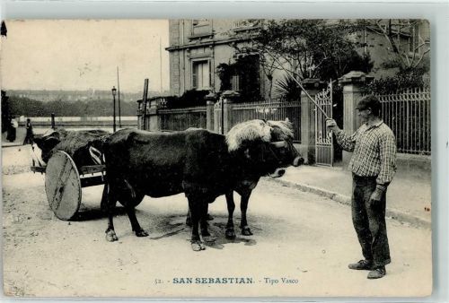 San Sebastian 1910 Ochsengespann Tipo Vasco