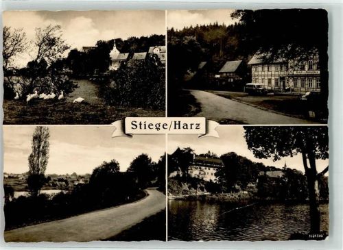 Stiege Hotel zum Burgstieg Ganse