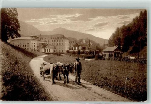 Saint-Martin-d'Uriage Les Hotels et la Station Viehwagen Mann