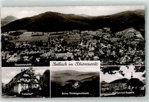 77960 W7633 Seelbach , Schutter Foto AK Tretenhof Ruine Hohengeroldseck Konrad-Kapelle