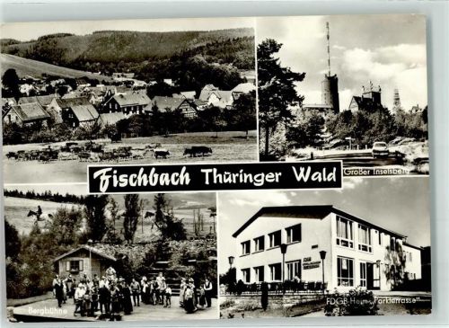 Fischbach Großer Inselsberg FDGB-Heim Parkterrasse Rinderweide