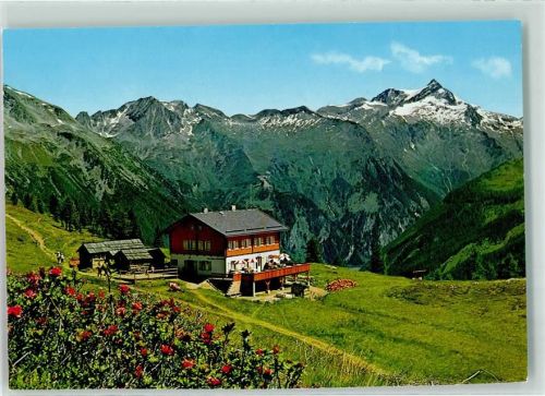 Mallnitz Gasthaus Häusler Alm Blick gegen Ankogel