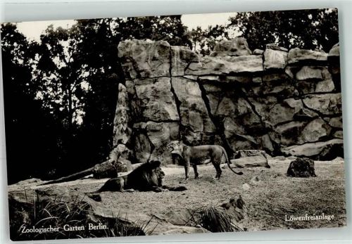 Tiergarten Freianlage Zoologischer Garten