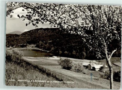 Keutschach Pension am Rauschelesee Baumblüte
