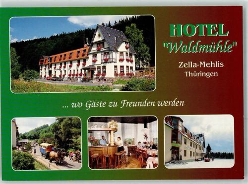 Zella-Mehlis Hotel Waldmühle Pferdekutsche