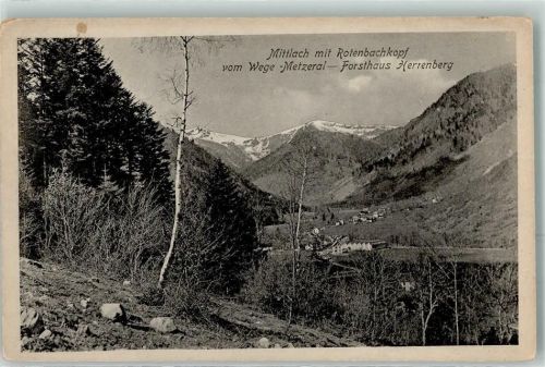 Mittlach mit Rotenbachkopf vom Weg Metzeral Forsthaus Herrenberg