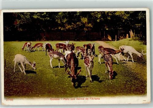 Genève Rehe