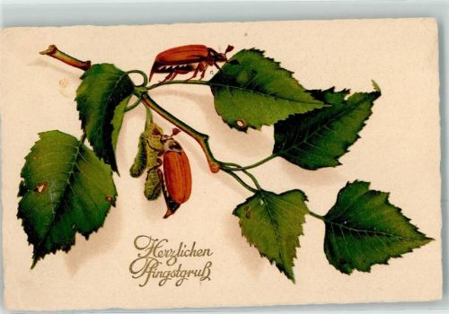 Maikäfer LP Nr.1778
