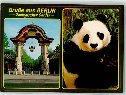 Berlin Mitte Eingangstor Pandabär