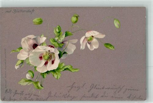 1904 Blumen
