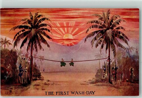The First Wash Day Feigenblätter