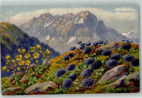 sign.Früh W. Heliantheum alpestre Globularia cordifolia