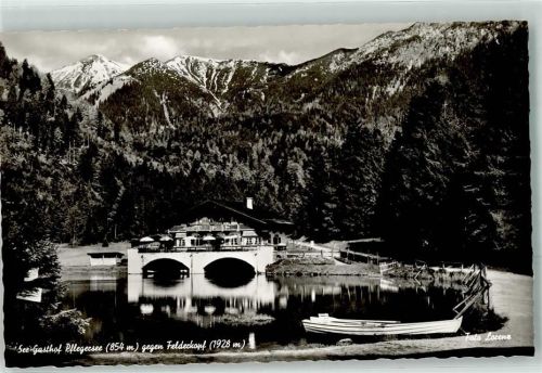 Pflegersee Gasthaus-See