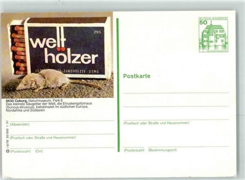 Coburg Streichhölzer Etruskerspitzmaus Naturmuseum
