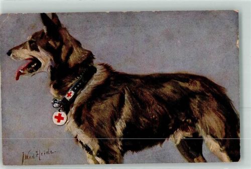 Rotes Kreuz Schäferhund sign.von der Heide J.W. Wohlfahrtskarte Nr.1