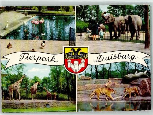 Duisburg Elefanten Giraffen Tiger Flamingos Vögel Wappen