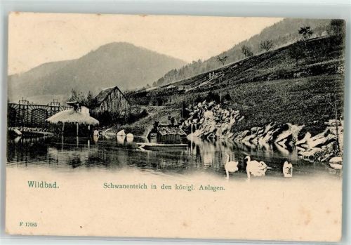 Bad Wildbad 1909 Schwanenteich in den königlichen Anlagen