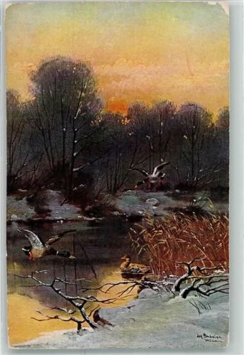 Enten Serie 1175