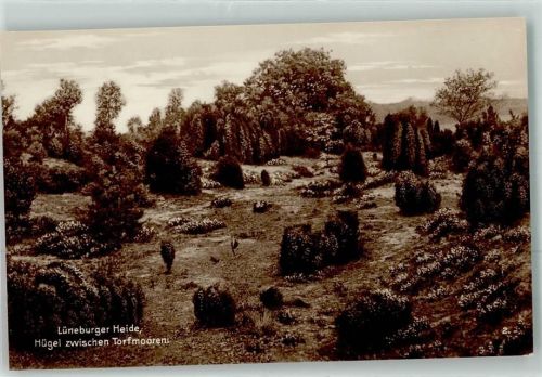 Münster Lüneburger Heide Torfmoor Serie Die Lüneburger Heide R. 22 B. 2