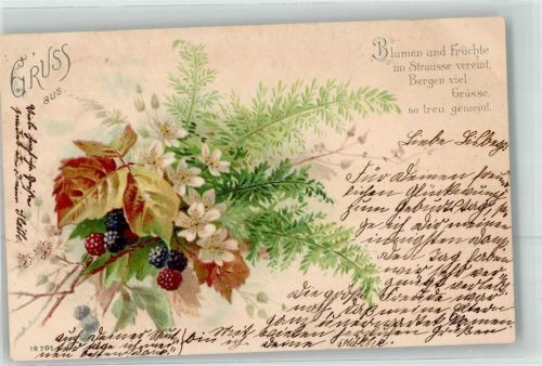 1901 Brombeeren Blumen Spruch Gruss aus