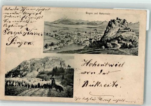Singen 1905 Schäfer mit seiner Herde vor der Festungsruine Hohentwiel