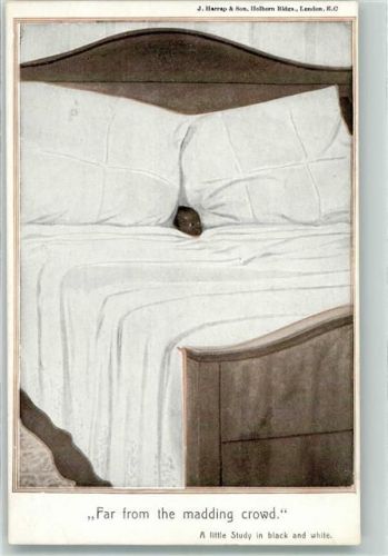 1912 Ein ruhiges Plätzchen Katze Bett Kl. Studie i. Schwarz Weiß