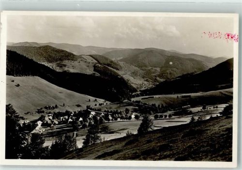 Todtnauberg Blick ins Wiesental