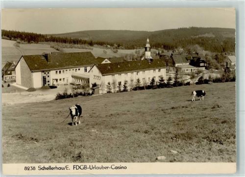 Schellerhau FDGB-Urlaubercasino Kühe