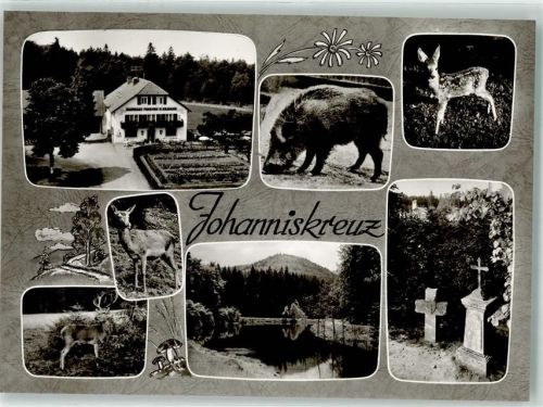 Johanniskreuz Gasthaus Pension Hch. Braband Wildschwein Rehkitz Rehwild Johanniskreuz