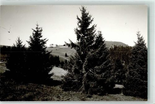 Belchen Ort handschriftlich Foto Original aus Archiv eines Ansichtskartenverlags