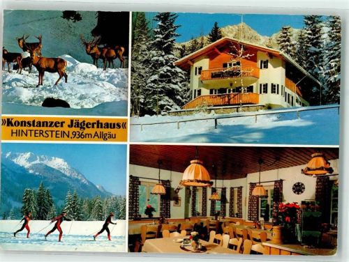 Hinterstein Gasthaus Pension Haus der Konstanzer Jäger Damwild Skifahrer
