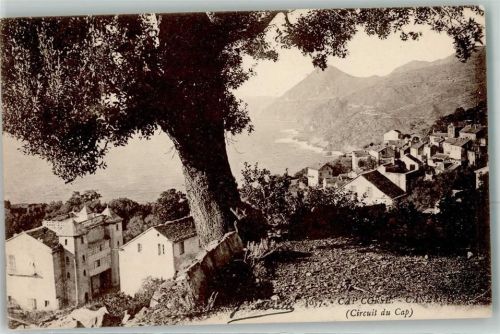 Canari Cap Corse