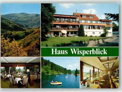 Heidenrod Hotel Restaurant Cafe Pension Gasthaus Haus Wisperblick Gastraum Auto See Ruderboot Liegewiese